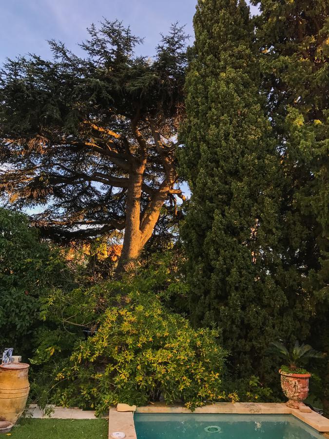 Clos Sainte Devote Cassis Exterior foto